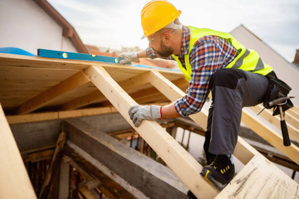 Professional Roofing Contractor in Long Grove, IA